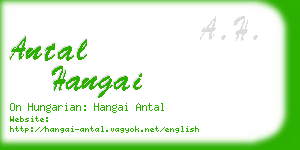 antal hangai business card